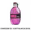 BOMBA ENERGY DRINK PINK 12 PZ X 250 ML 
