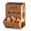 Foto articolo dell\'articolo EXPO' LINDT TESORI NASCOSTI ASSORTITI X 1,1 KG ( CIRCA 96 PEZZI)