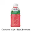 Foto articolo dell\'articolo MOGU MOGU ANGURIA 24 PZ X 320 ML
