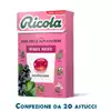 Foto articolo dell\'articolo RICOLA RIBES NERO SENZA ZUCCHERO ASTUCCIO X 20 PZ
