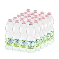 Foto articolo dell\'articolo SAN BENEDETTO ACQUA NATURALE 24 BT X 0.50 CL