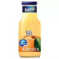 Foto articolo dell\'articolo SANTAL BIG ALBICOCCA 24 PZ X 250 ML 