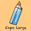 EXPO LARGE
